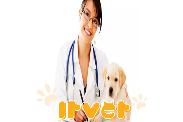 دوره های دامپزشکی