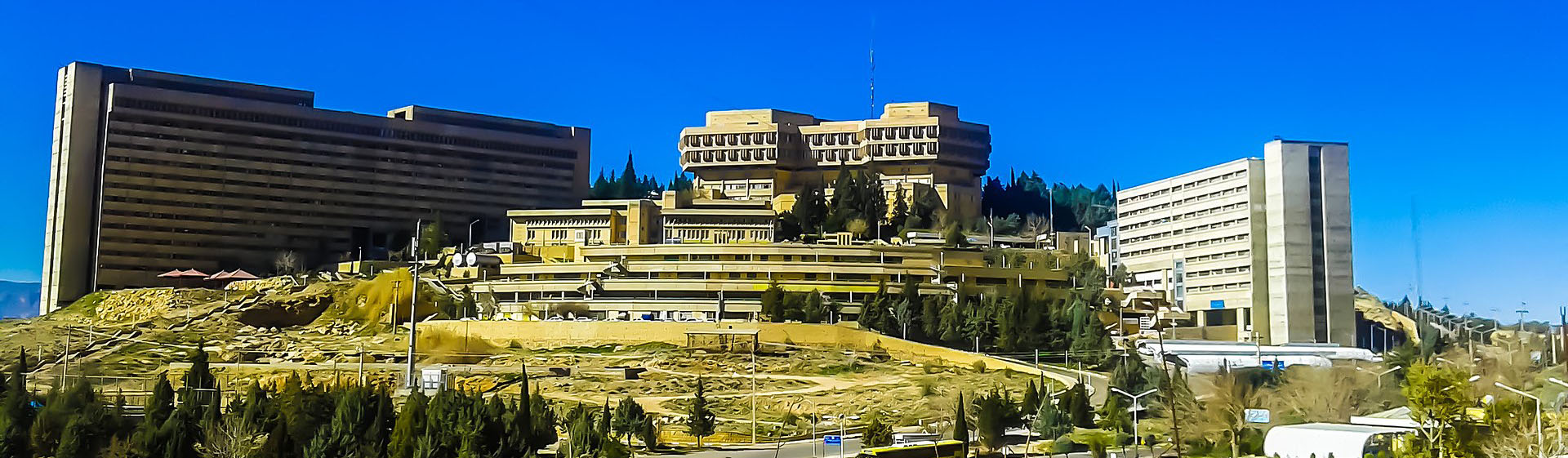 دانشکده دامپزشکی شیراز