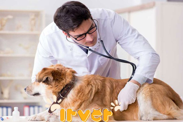 مرکز تخصصی واکسیناسیون 
