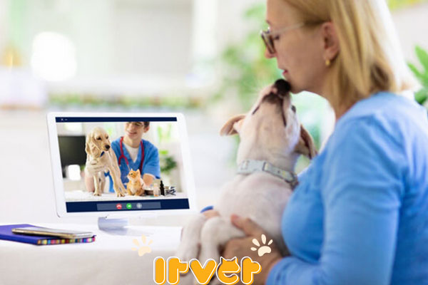 دسترسی به دامپزشک آنلاین