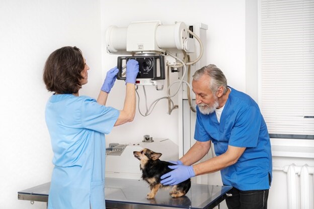 List of veterinary equipment6