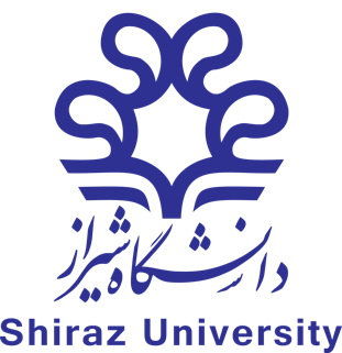 دکتر سید مصطفی رضوی دینانی
