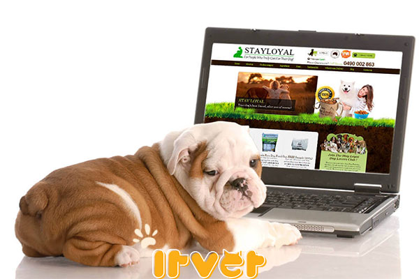 ویژگی های سایت دامپزشکی