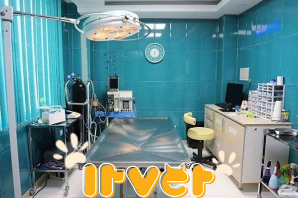 انتخاب بهترین کلینیک دامپزشکی